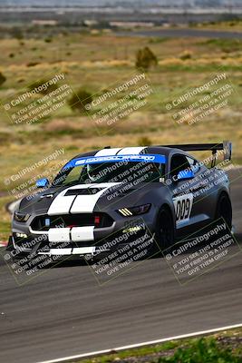 media/Feb-25-2024-Speed Ventures (Sun) [[b9a2a97a4d]]/Mustang Drivers Club/Session 2 (Turn 6)/